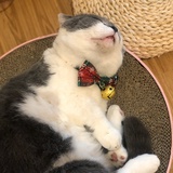 Emily王啊