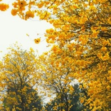 newsun